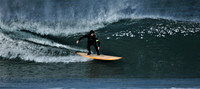 View FreeSurf sessions